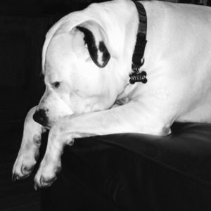 Meet your Posher, Mary